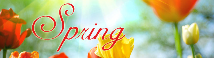 Spring Flowers