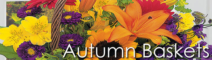 Autumn Baskets