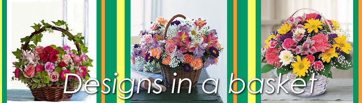 Designs in a basket