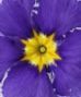 I'm Sorry