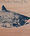 Fresh Salmon