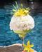 Summer Flowers