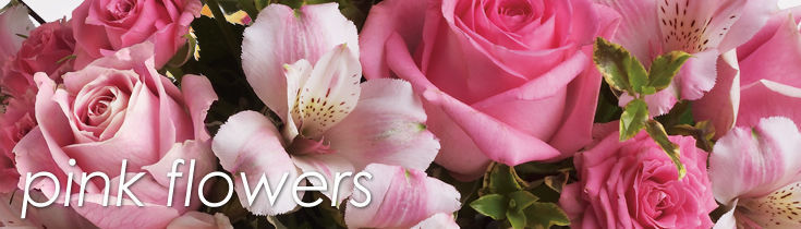 Pink Flowers