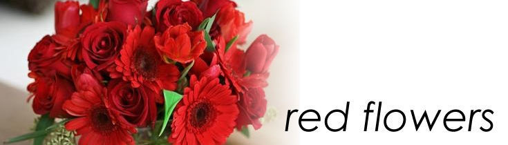 Red Flowers