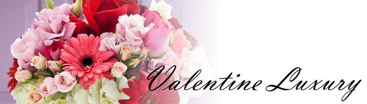 Valentine's Day Luxury Collection