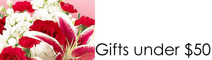Valentine's Day Gifts under $50