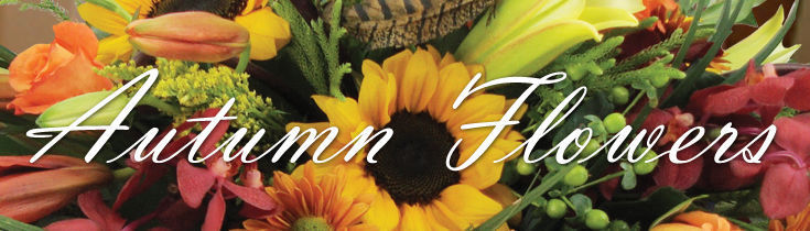 Autumn Flowers