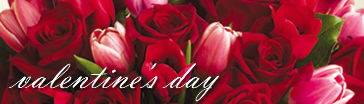 Valentine's Day