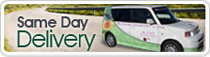 Same Day Delivery on all bouquets