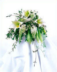 Weddings at Casas Adobes