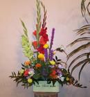 Welcome Home Design