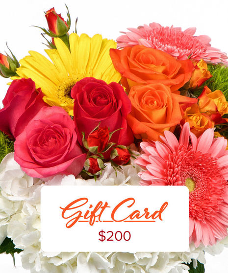 $200 Gift Card