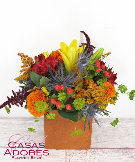 Terracotta Harvest