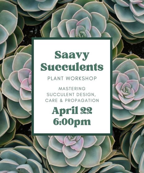 Succulent Plant Class - April 22nd