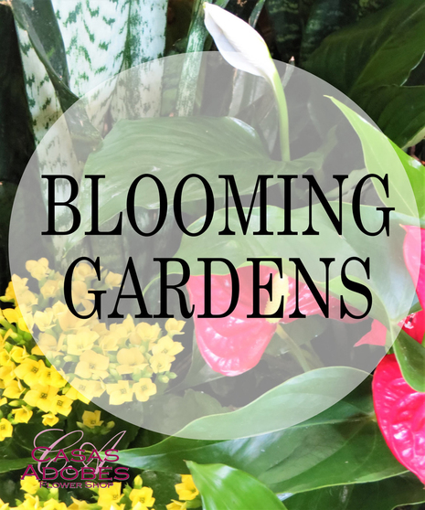 Flowering Plants