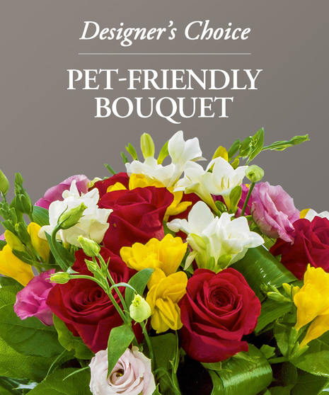 Designer's Choice Pet-Friendly Bouquet