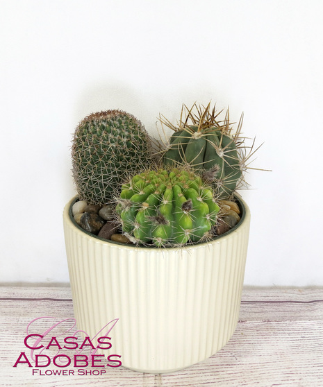 Green Plants