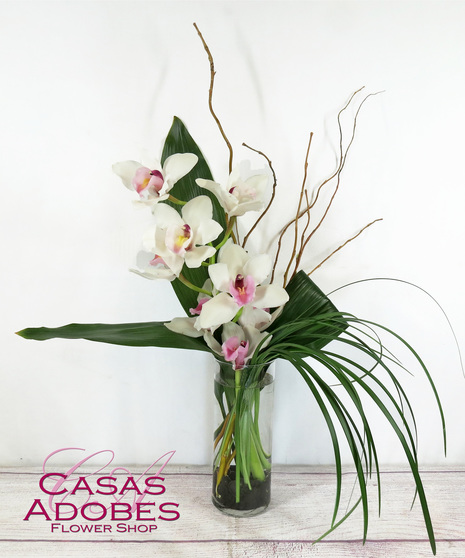 Classic Cymbidiums