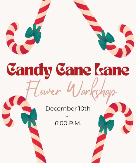 Candy Cane Lane Flower Class - December 10th