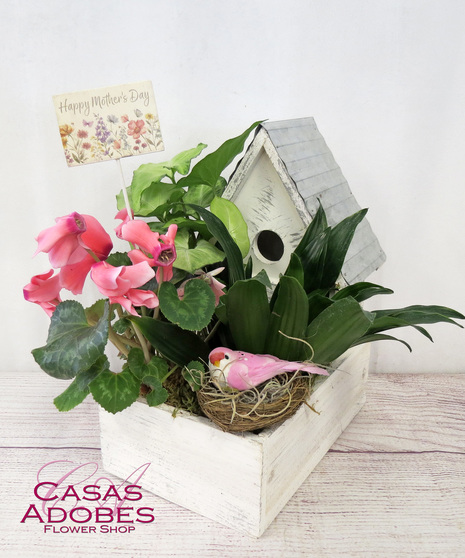Plant garden with green and blooming plants in a birdhouse planter with a bird in a nest accent
