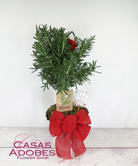 Rosemary Topiary in a basket with a bow and cardinal