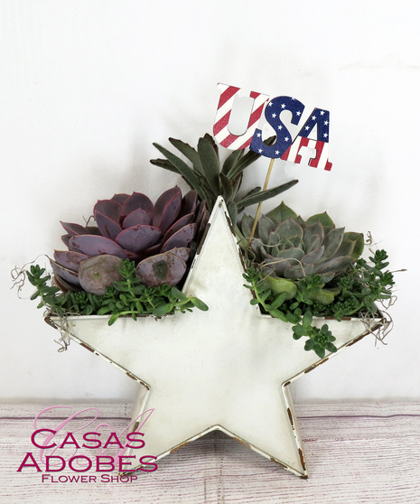 Star-Spangled Succulents