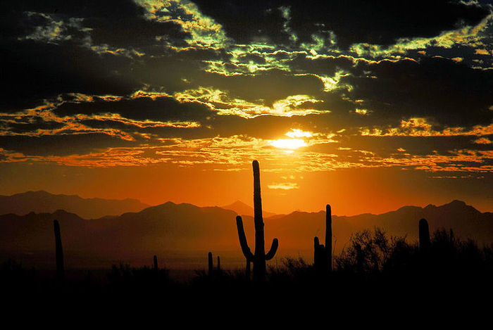 Image result for image of sunrise over the catalina mountains